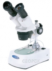 Microscopio stereoscopico 20X – 40X