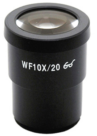 Oculare micrometrico WF10x